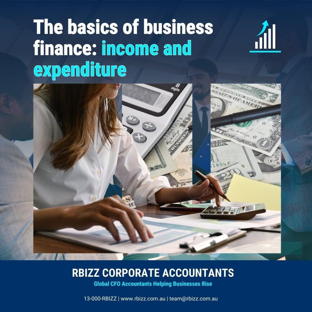 The basics of business finance: income and expenditure